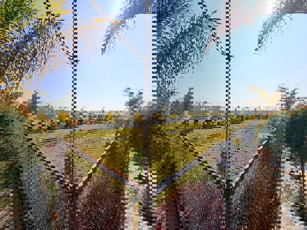 Plot For Sale in Mohabbewala