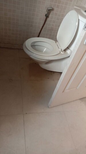 Bathroom in 2 BHK Apartment at Jaypee Greens Pavilion Court, Sector 128 – for Rent