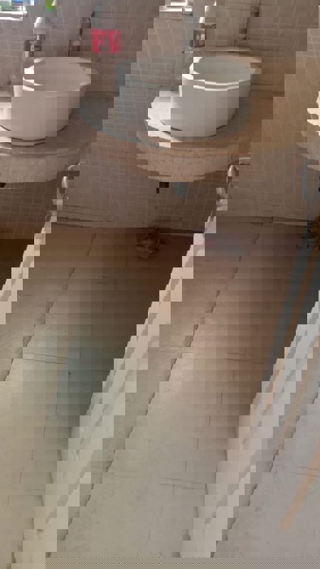 2 BHK Apartment For Rent in Jaypee Greens Pavilion Court