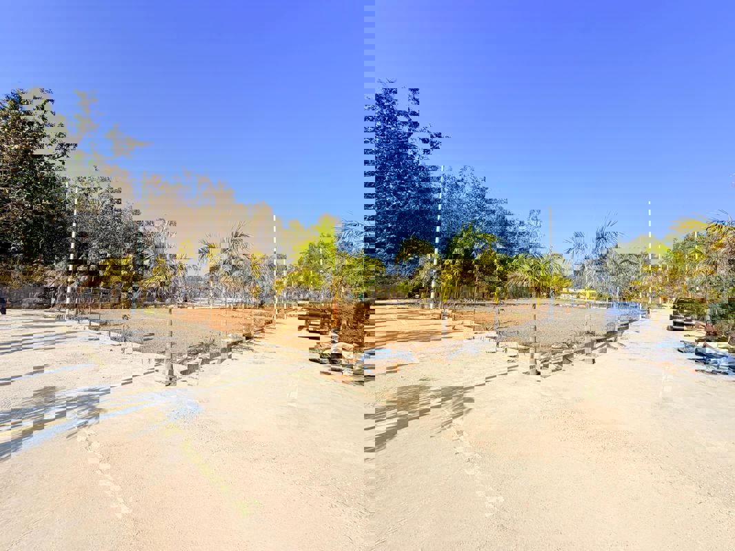 Plot For Sale in Mohabbewala