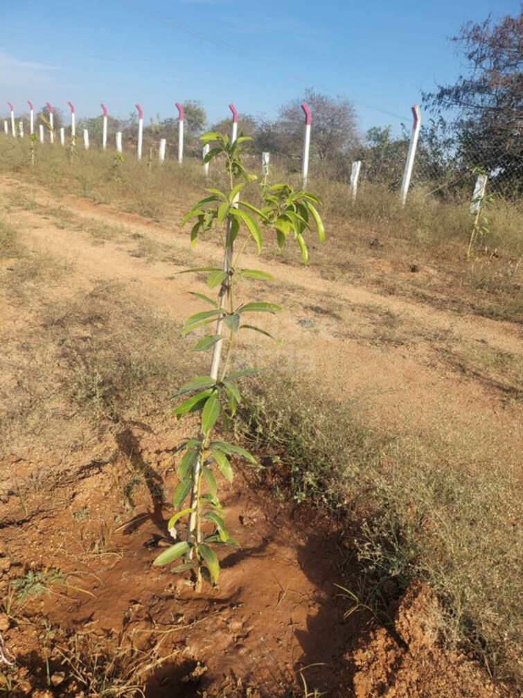 undefined, sector 12  130 Sq.Mt. Plot In Sector 12 Noida 9903154