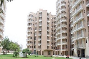 1 BHK Apartment For Rent in Adore Samriddhi, Sector 89
