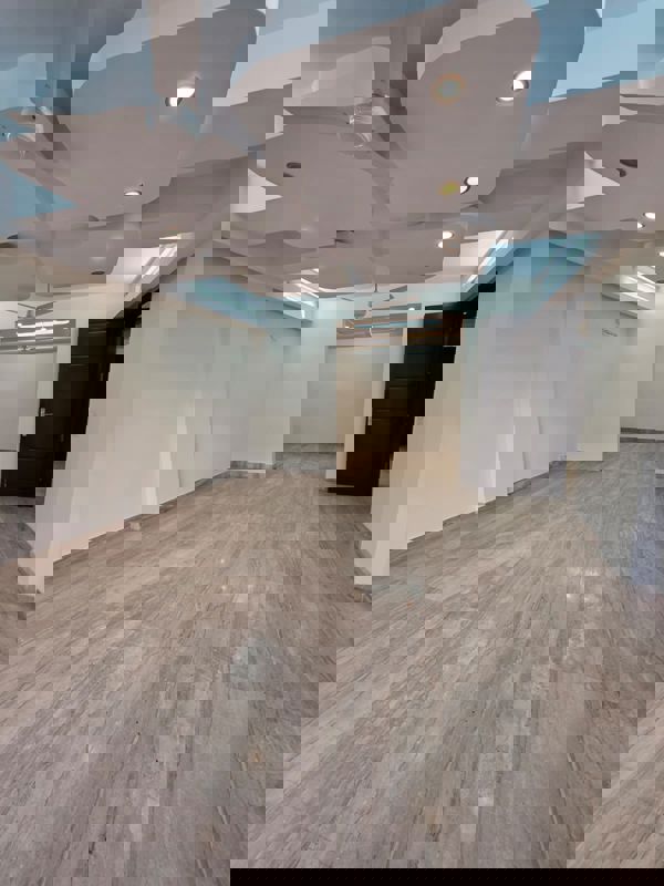 3 BHK + Servant Room Builder Floor For Rent in Chittaranjan Park