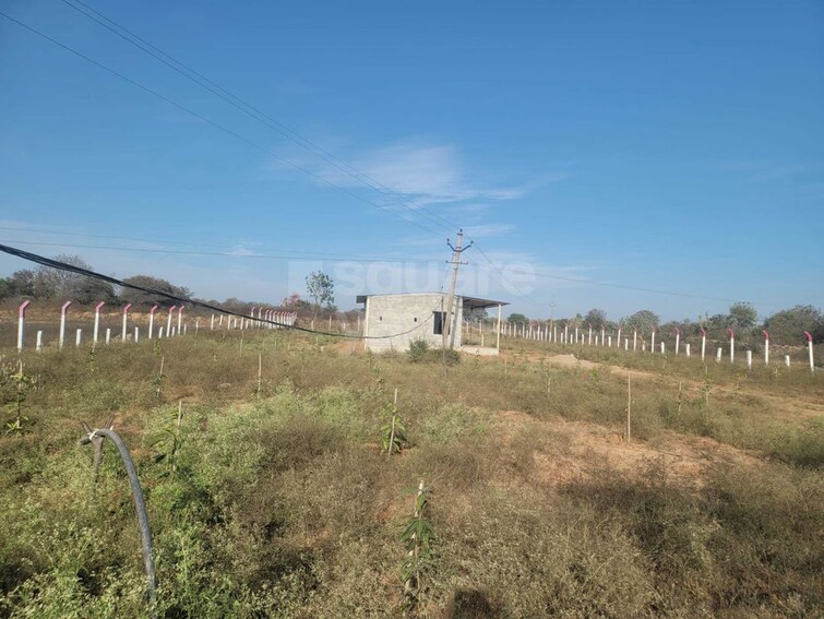 Cover Image, saini  70 Sq.Mt. Plot In Saini Greater Noida 9903322