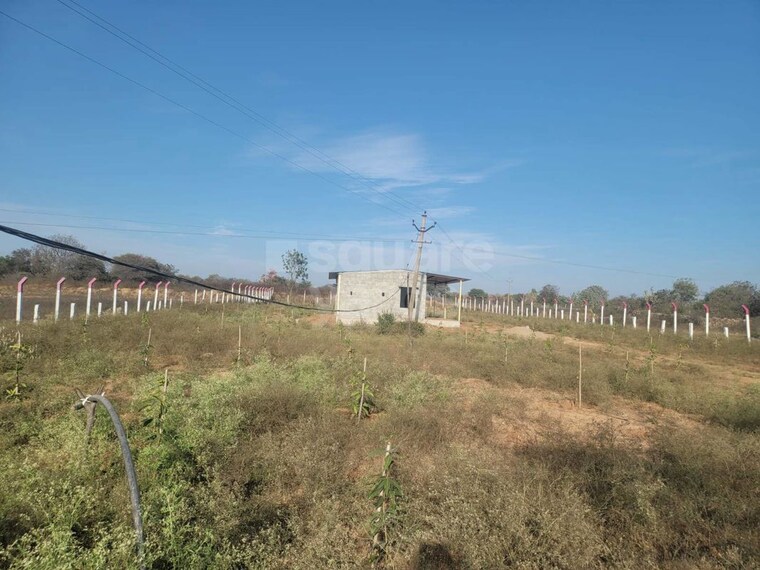 undefined, sector 11 yamuna expressway  206 Sq.Mt. Plot In Sector 11 Yamuna Expressway Greater Noida 9903564