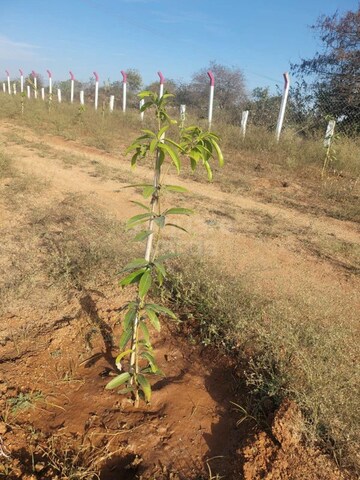  Plot For Sale in Sector 11 Yamuna Expressway