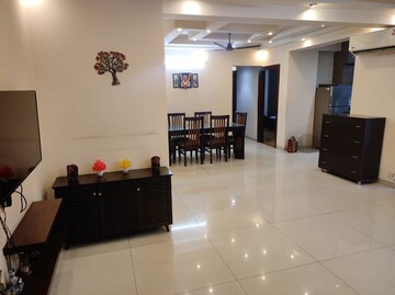 3 BHK Apartment For Sale in Tulip Violet, Sector 69