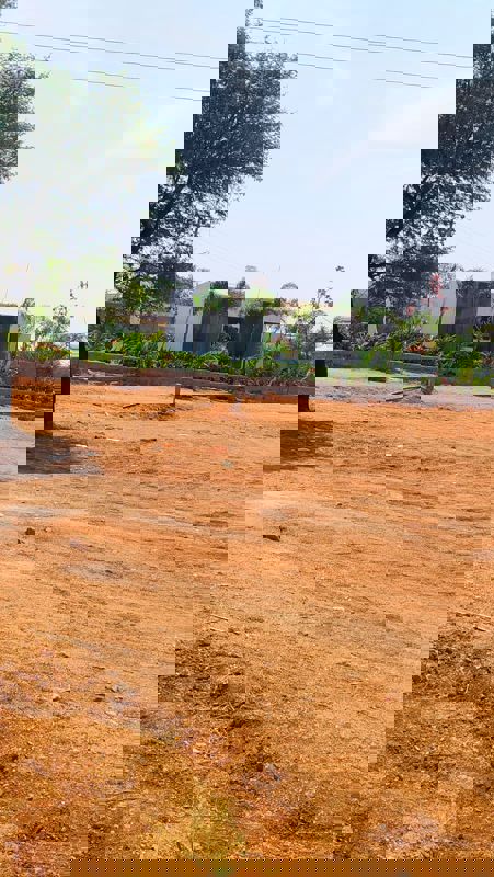 Plot For Sale in Trinity The Capital