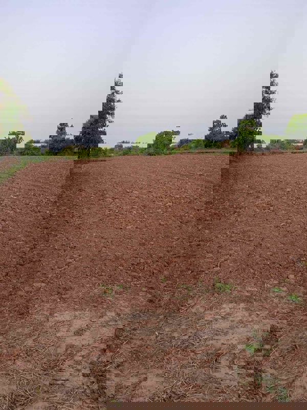 Plot For Sale in Jaganpura