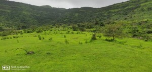 Plot Area in  Land at Khamboli – for Sale