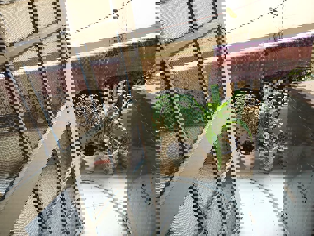 Retail Shop For Rent in Spaze ITech Park