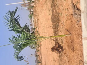  Plot – Map Location View at Unique Eastern Aavaasa, Batasingaram - for Sale