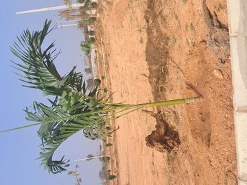  Plot – Map Location View at Unique Eastern Aavaasa, Batasingaram - for Sale