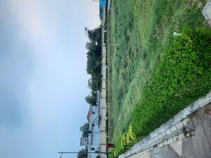  Plot For Sale in JMS The Nation, Sector 95