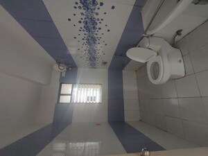 Bathroom in 2 BHK Apartment at Nanded City Asawari, Nanded – for Rent