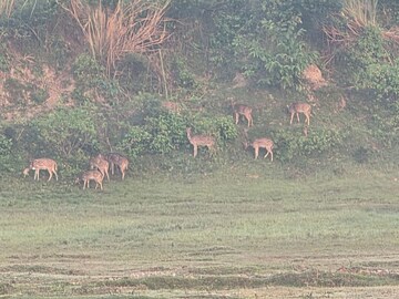 Plot Area in  Plot at Dameera City Plots, Sector 121 – for Sale