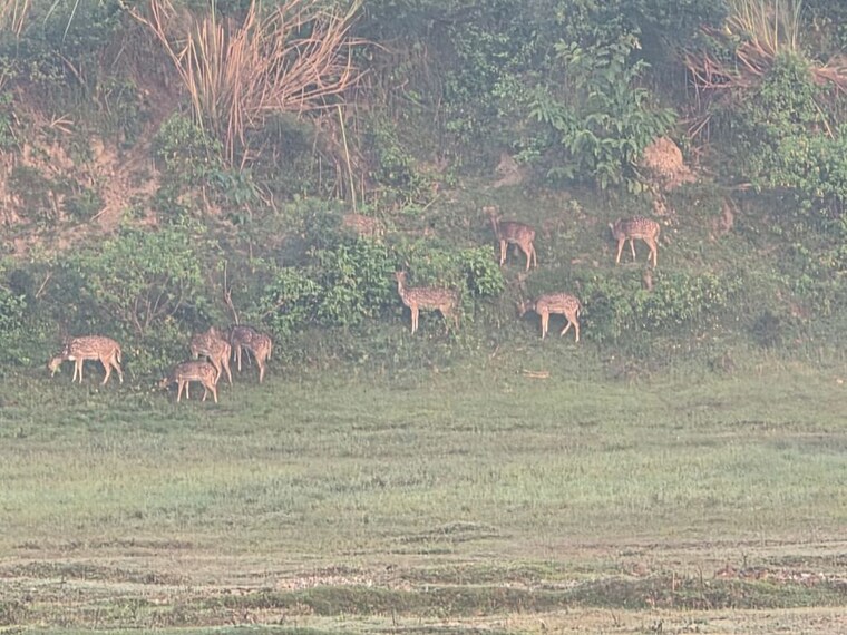 undefined, dameera-city-plots  163 Sq.Yd. Plot In Sector 121 Faridabad 9904220