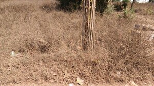  Plot For Sale in Attibele