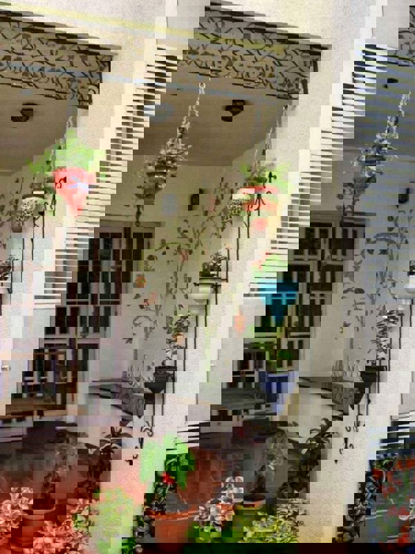 Pg For Rent in Vineet Khand