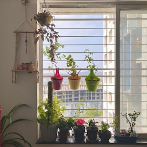  Pg For Rent in Vibhuti Khand