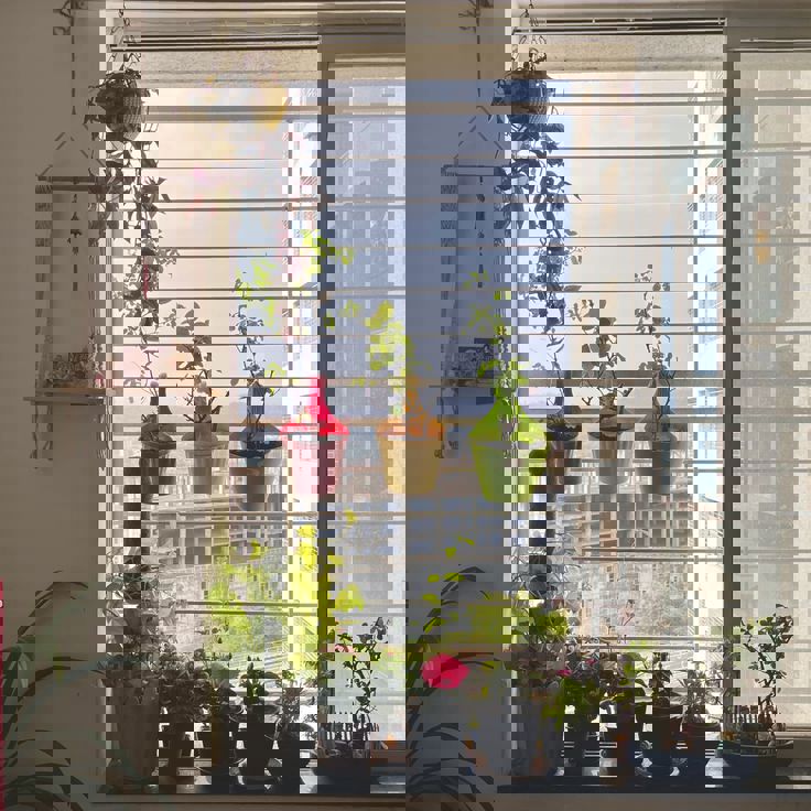 Pg For Rent in Vibhuti Khand