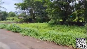  Plot For Sale in Palaspa
