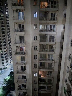 3 BHK Apartment – Exterior View View at Sam Palm Olympia Phase II, Sector 16c Greater Noida - for Rent