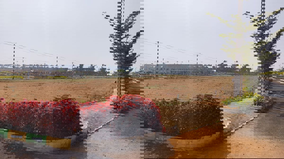 Plot For Sale in Channarayapatna