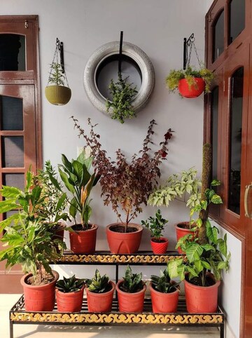 Furnished Amenities in  Pg at Vibhuti Khand – for Rent