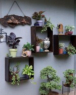 1250 Sq.Ft. Pg in Vibhuti Khand