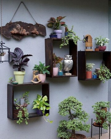  Pg For Rent in Vibhuti Khand