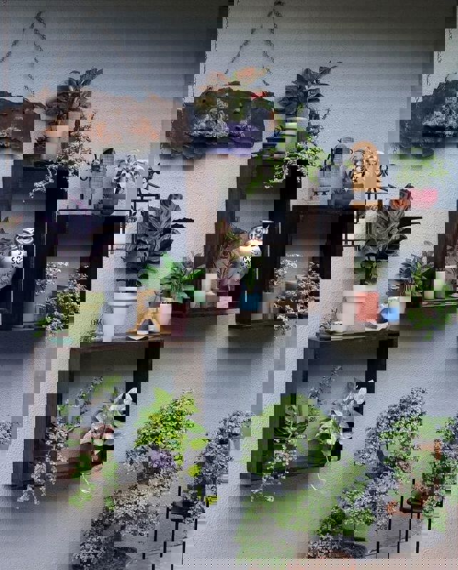 Pg For Rent in Vibhuti Khand