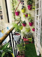 1250 Sq.Ft. Pg in Vineet Khand