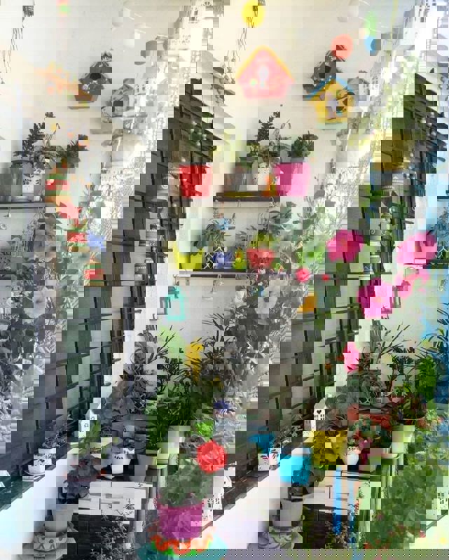 Pg For Rent in Vineet Khand