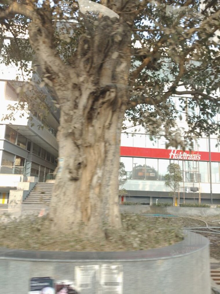 Exterior View, ska-arcadia Commercial Shop 185 Sq.Ft. In Wave City Ghaziabad 9904924