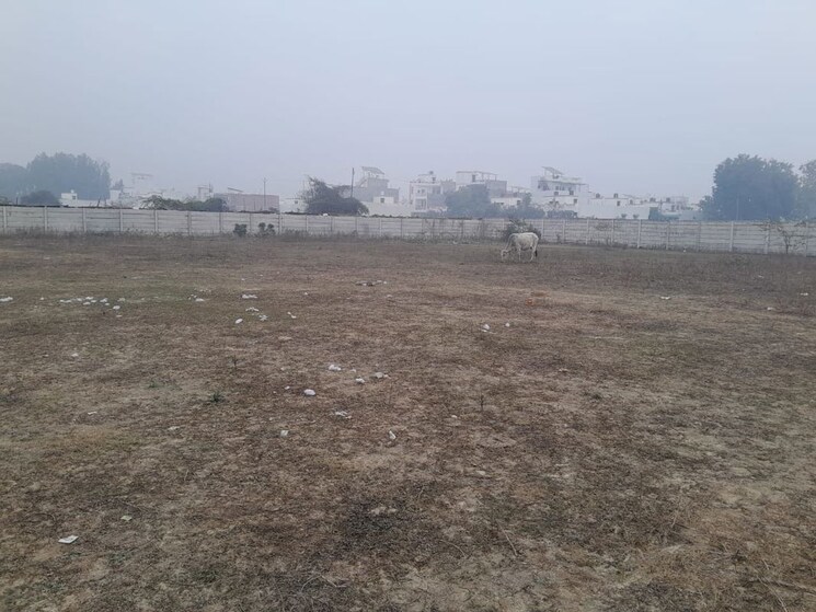 undefined, neelendras-amity-greens  800 Sq.Ft. Plot In Gomti Nagar Lucknow 9905102