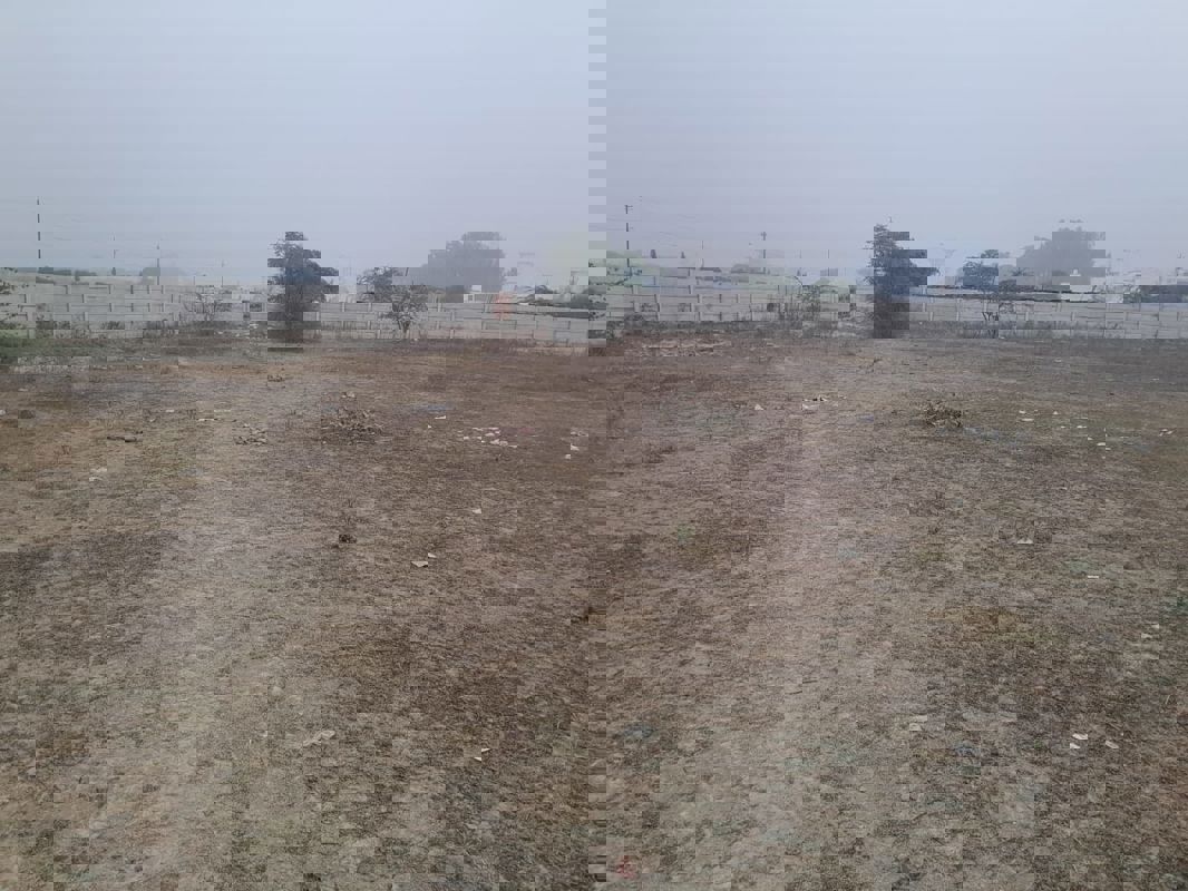 Plot For Sale in Neelendras Amity Greens