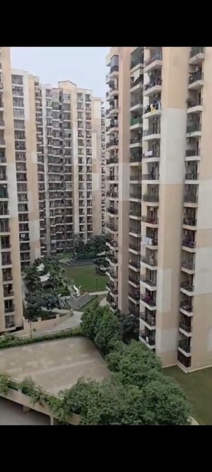3.5 BHK Apartment For Rent in Sector 16c Greater Noida