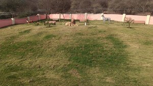 Plot Area in  Plot at Gurupragya Sumeru, Sikar Road – for Sale