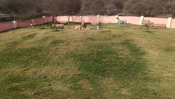 Plot Area in  Plot at Gurupragya Sumeru, Sikar Road – for Sale