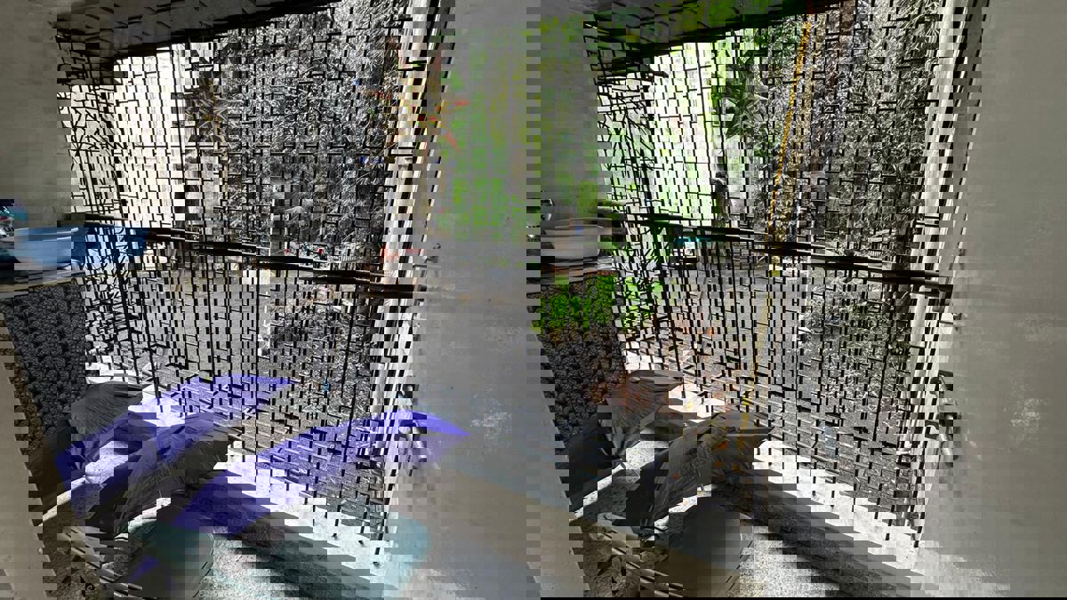 1 BHK Apartment For Rent in Kothrud