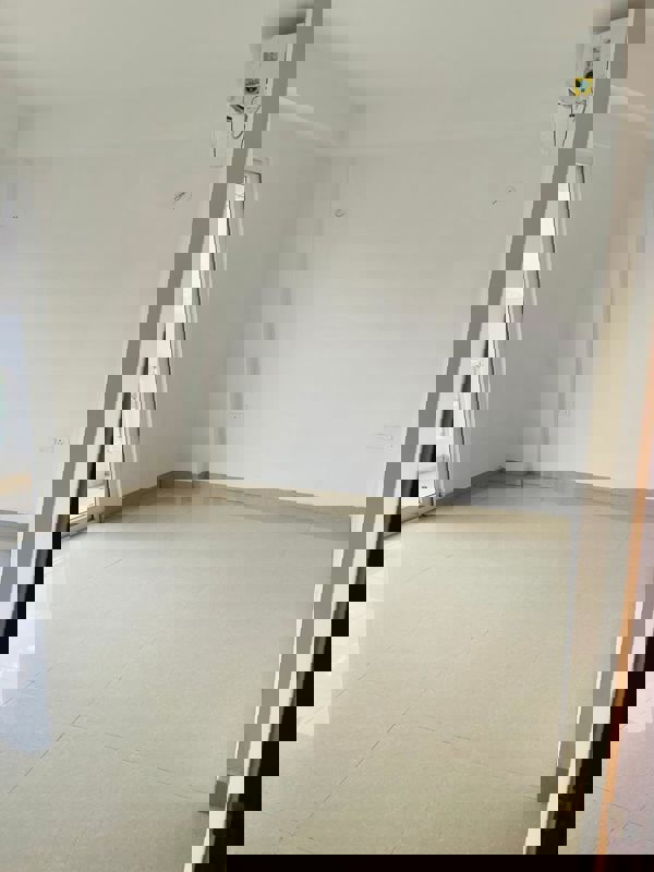 5 BHK + Servant Room 3420 Sq.Ft. Builder Floor in SS Linden