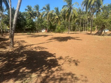 Plot Area in  Plot at Mundoor – for Sale