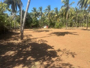 Plot Area in  Plot at Mundoor – for Sale