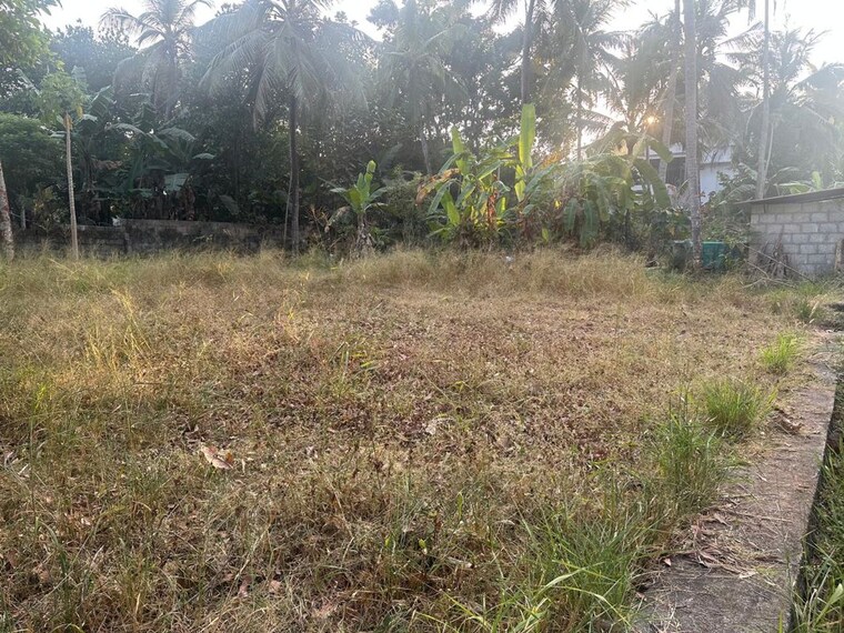 undefined, mundoor  4138 Sq.Ft. Plot In Mundoor Thrissur 9905659
