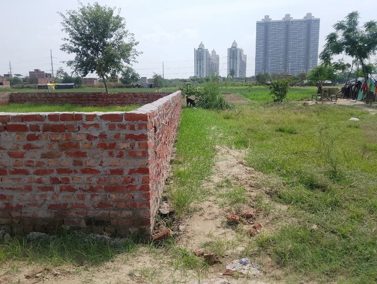 undefined, sector 138 noida  550 Sq.Ft. Plot In Sector 138 Noida Noida 9905333