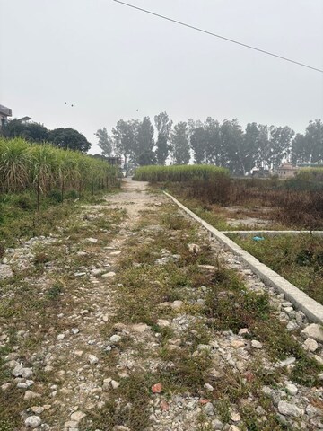  Plot For Sale in Dehradun Cantt