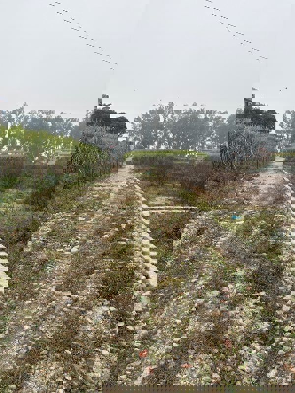 Plot For Sale in Dehradun Cantt