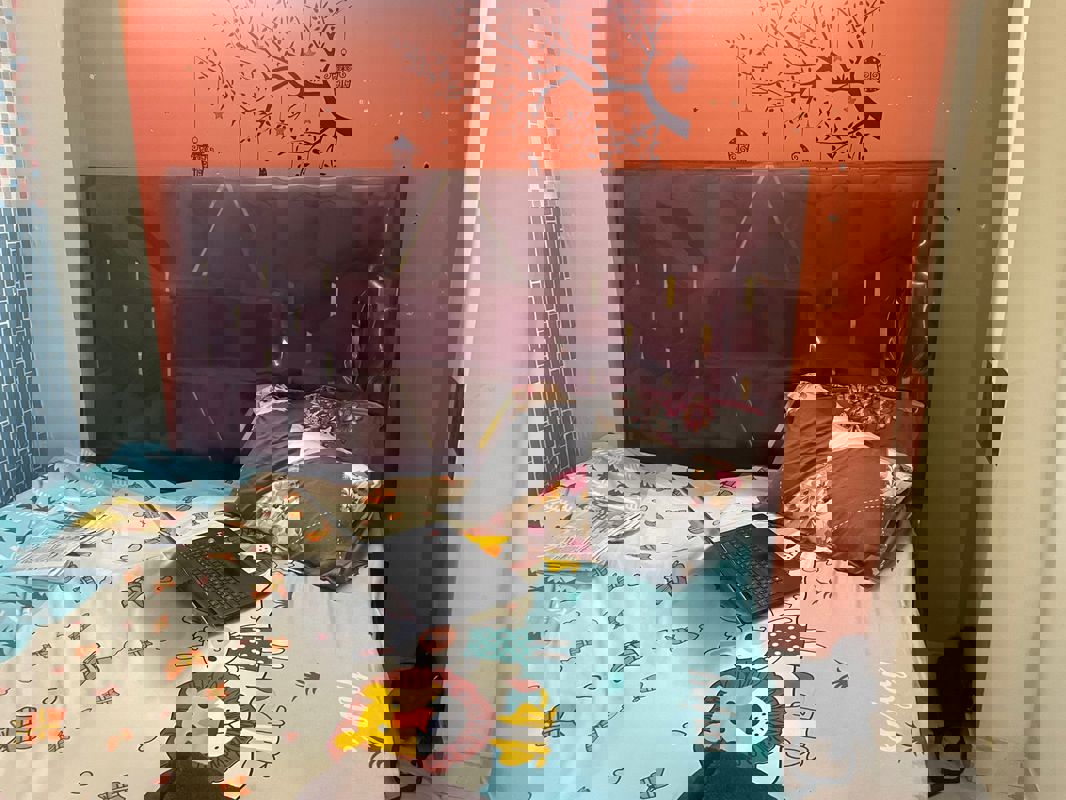 2.5 BHK Apartment For Rent in Mayur Vihar