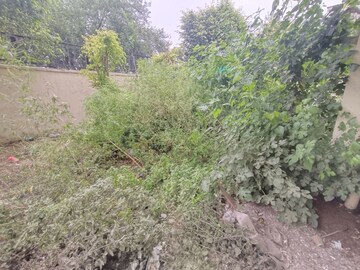 3 BHK Builder Floor – Garden View at SS Almeria, Sector 84 - for Sale